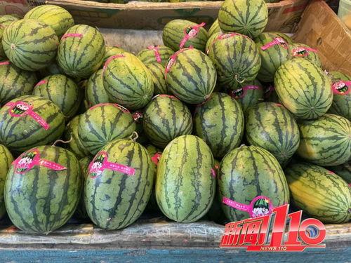 网红小雨吃大瓜图片高清,高清大瓜图引网友热议