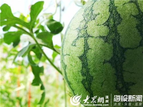 51款吃瓜网,揭秘娱乐圈幕后故事，带你领略明星真实生活