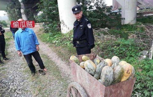 盐山网红吃瓜事件真相,真相背后的网络狂欢与反思