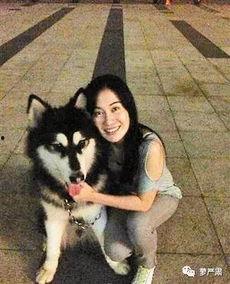 网红狗子张悦吃瓜图片,萌态十足引网友热议