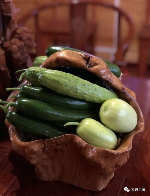 陇南网红吃瓜二流子,揭秘网络红人的幕后生活