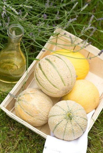 甘肃网红二饼吃瓜事件,揭秘网络舆论的风暴与反思