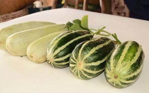 网红吃瓜风格是否独特,揭秘网红吃瓜界的独特风格达人