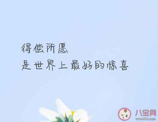 网红吃瓜感言文案短句